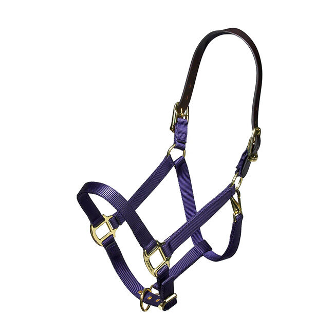 Shires Nylon Halter with Leather Head Strap image number null