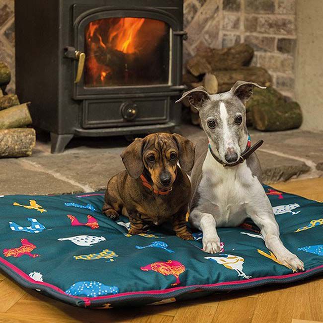 Shires waterproof dog bed top