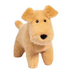 Douglas Ed the Tan Dog