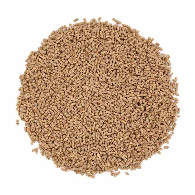 Sunseed Vita Prima Sunscription Conure Food - 3 Lb Bag, High-Variety Seed & Grain Blend With Omega-3s