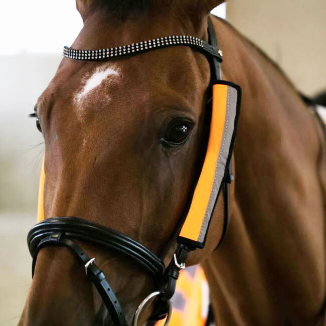 Horze Reflective Bridle Cover image number null