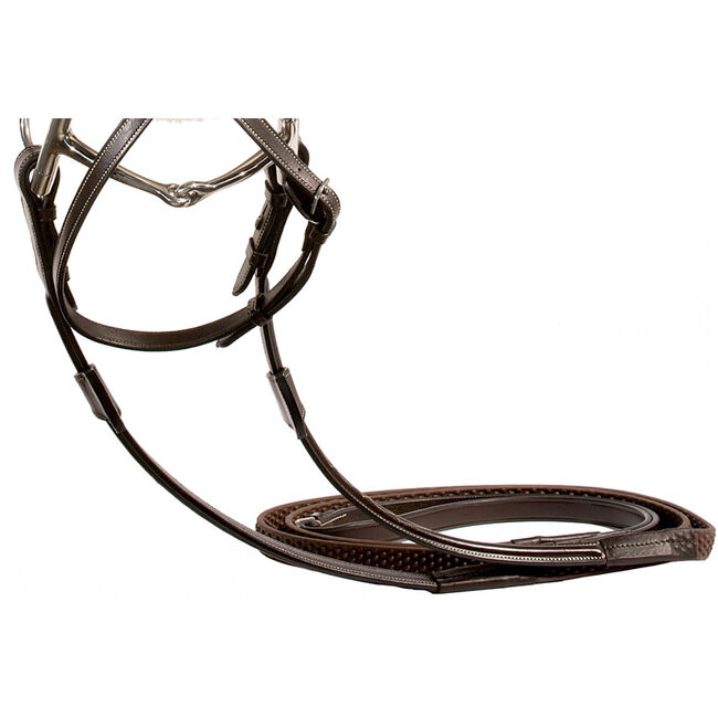 Nunn Finer Stefania Figure 8 Bridle image number null