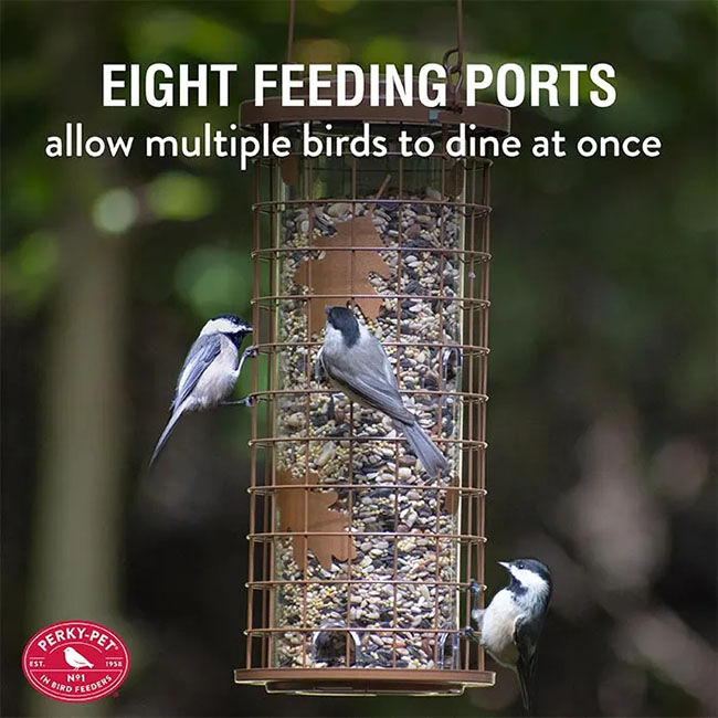 Perky-Pet Squirrel Stumper Wild Bird Feeder - Brass image number null