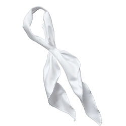 Western Express Scarf Tie - White