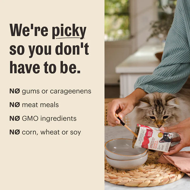 The Honest Kitchen Grain-Free Cate Cat Food - Beef & Chicken Recipe image number null