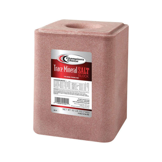 Champion's Choice Trace Mineral Salt Block - 50lb image number null