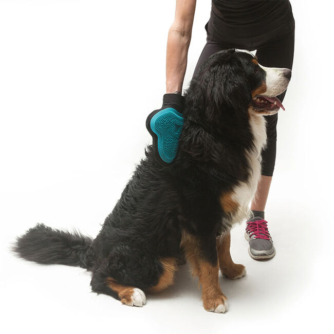 Messy Mutts Reversible Pet Grooming Glove image number null