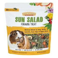 Sunseed Sun Salad Foraging Treat for Guinea Pigs - 10 oz