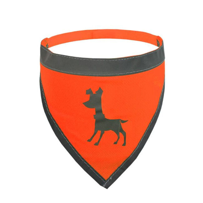 Alcott Visibility Bandana Neon Orange image number null