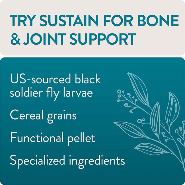 FlockLeader FUNctional Poultry Treats - Sustain - Bone & Joint Formula image number null
