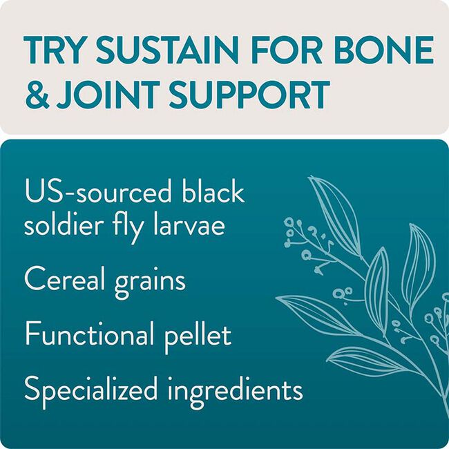 FlockLeader FUNctional Poultry Treats - Sustain - Bone and Joint Formula image number null