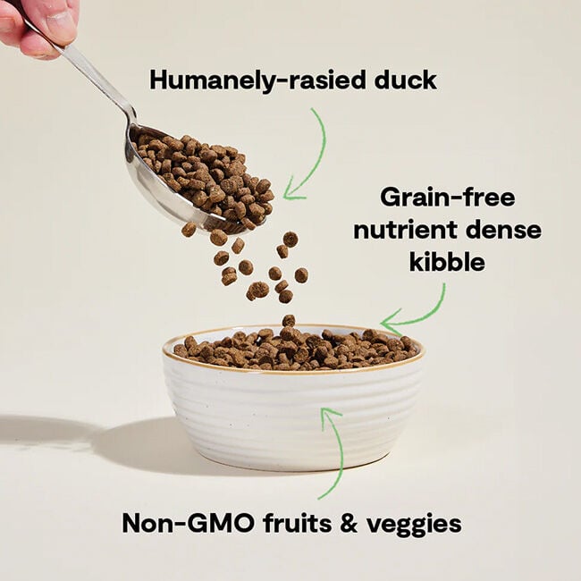 Open Farm Grain-Free Cat Food - Farmstead Duck image number null