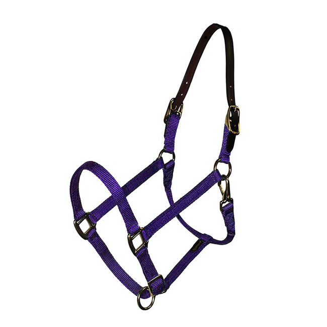 Triple E 3/4" Breakaway Adjustable Nylon Foal Halter image number null