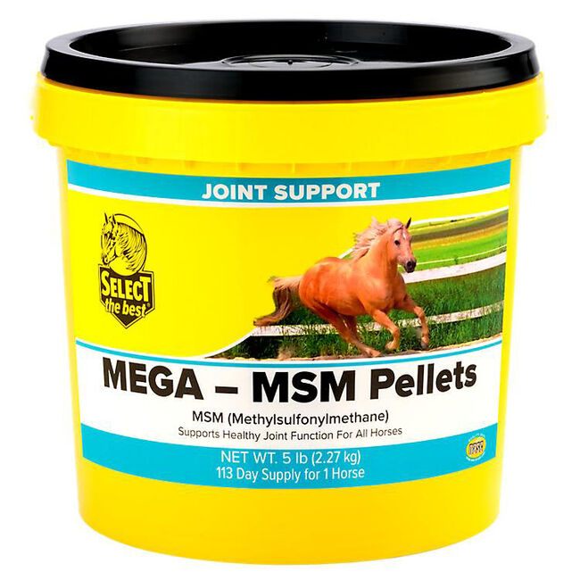 Select the Best Mega-MSM Pellets image number null