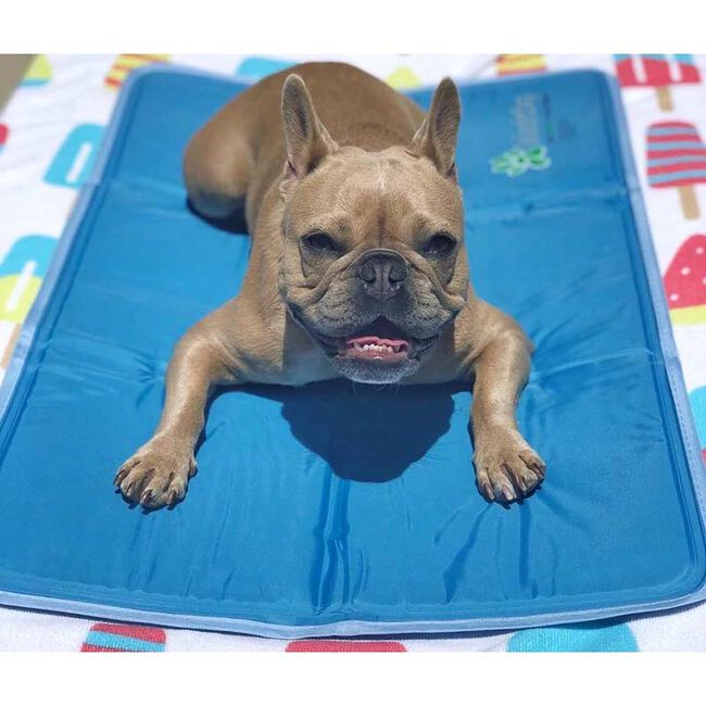 Cool Pet Pad Self-Cooling Pet Bed image number null