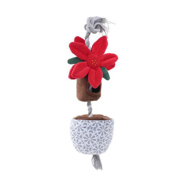 Tall Tails Tug & Treat - Holiday Poinsettia image number null