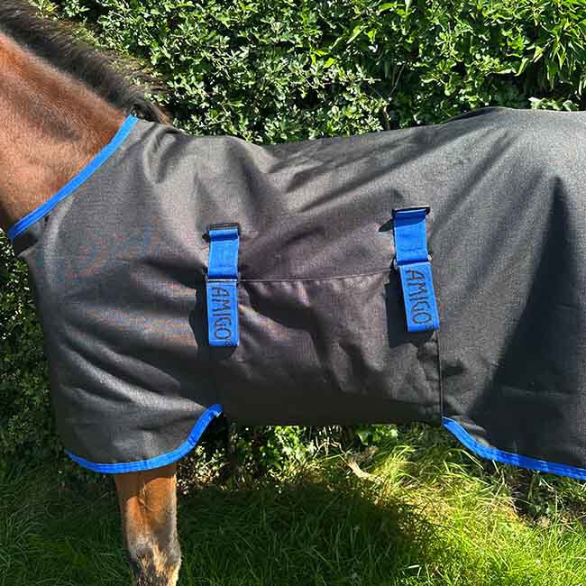 Horseware Amigo Ripstop 900D Foal Turnout (50g Medium) - Black with Classic Blue Trim image number null