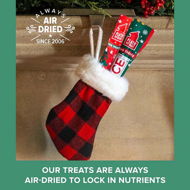 Plato Naughty or Nice Thinkers Dog Treat - Duck Recipe - 0.71 oz image number null