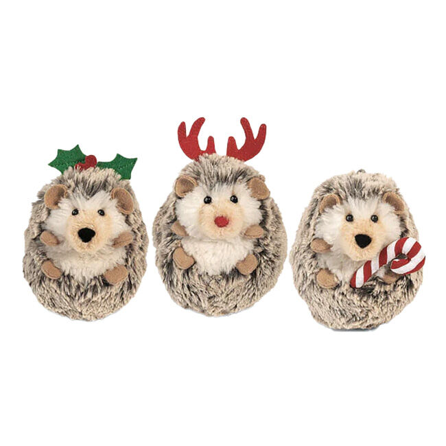Spunky hedgehog store