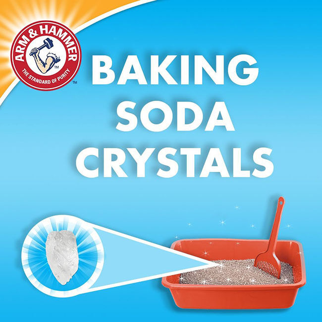 Arm & Hammer Double Duty Advanced Odor Control Clumping Cat Litter - 40 lb image number null