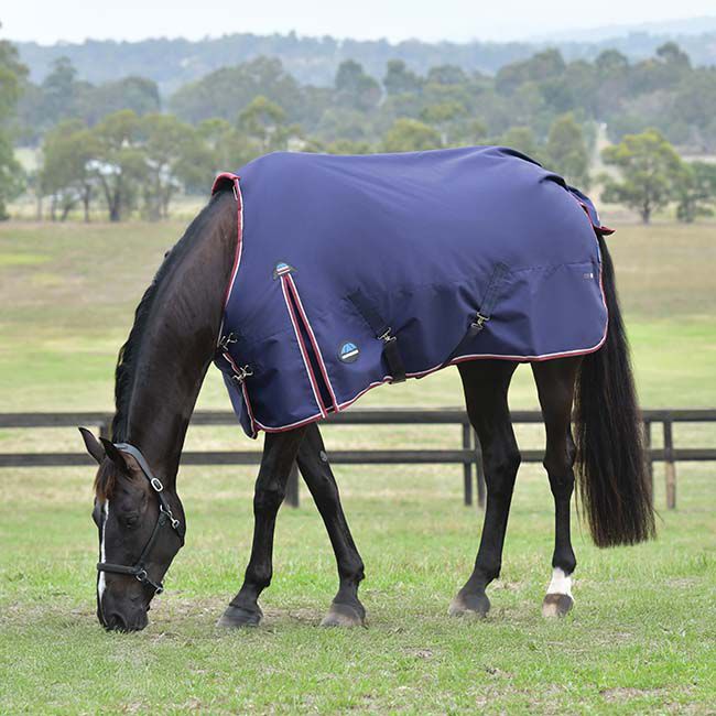 WeatherBeeta ComFiTec Essential Turnout with Standard Neck (360g Fill) - Navy/Burgundy image number null