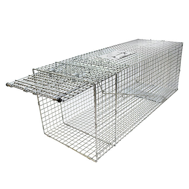 Havahart X-Large 1-Door Animal Trap image number null