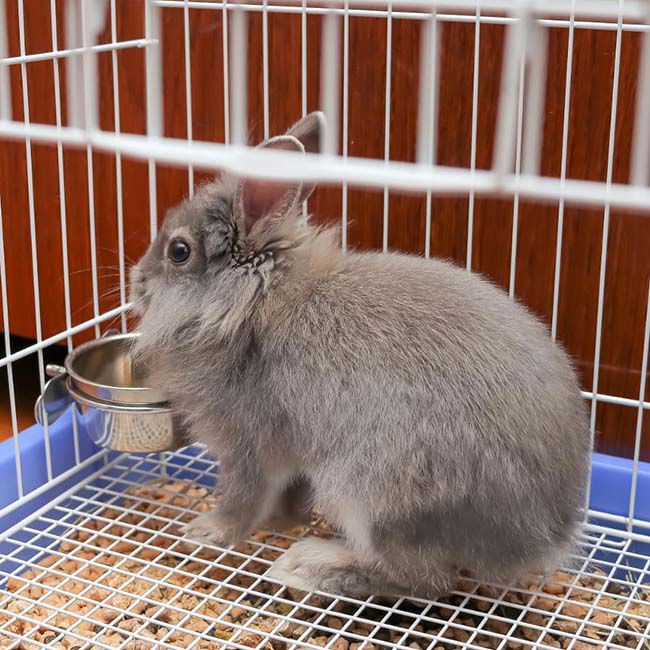 Spot Stainless Steel Bolt-On Coop Cup - 10 oz Capacity image number null