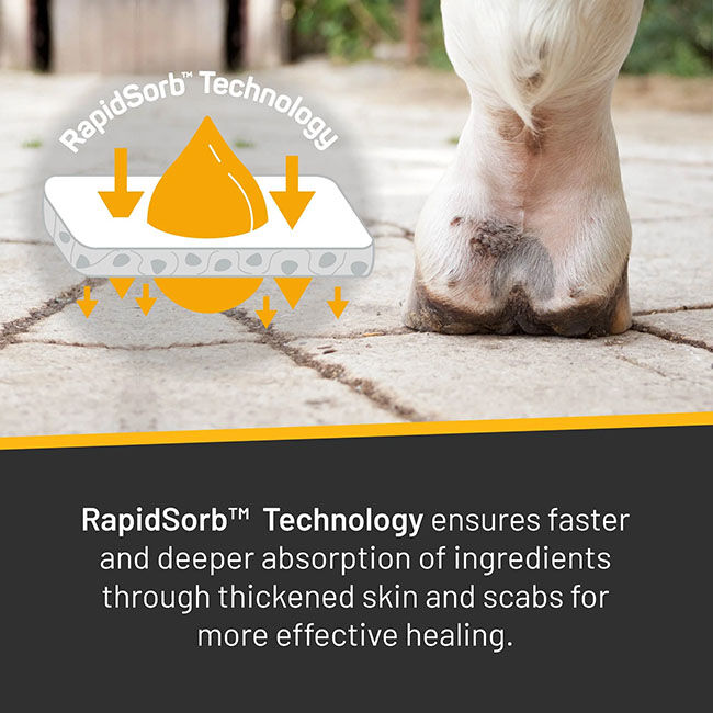 Absorbine Silver Honey Rapid Skin Relief - Vet Strength Scratches Spray - 6 oz image number null