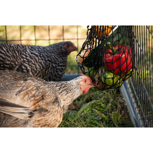 Texas Haynet Busy Bag Chicken Feeder image number null