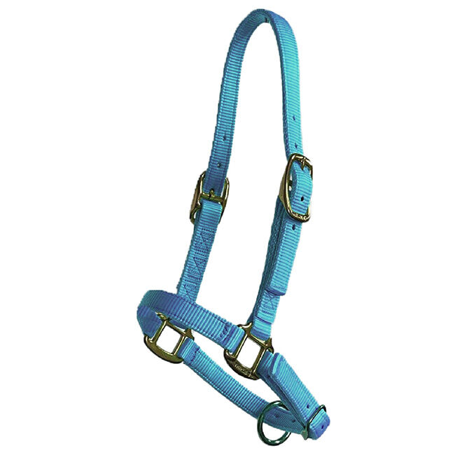Triple E Adjustable Nylon Foal Halter image number null