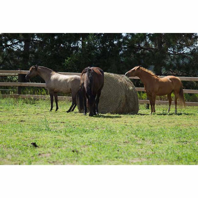 Hay Chix Large Bale Net image number null