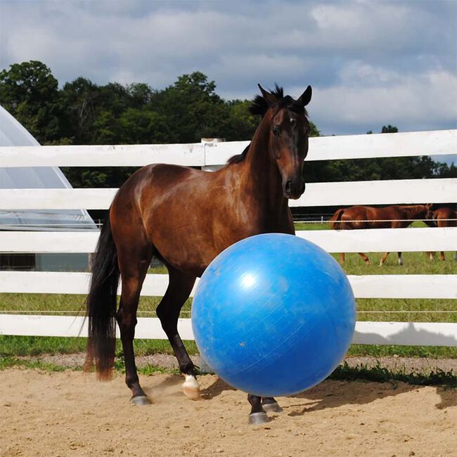 Horsemen's Pride Jolly Mega Ball image number null