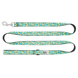 RC Pets Dog Leash - Fetch