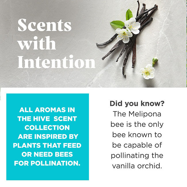 Project Hive Disc & Lick Mat - Soothing Vanilla Scent image number null