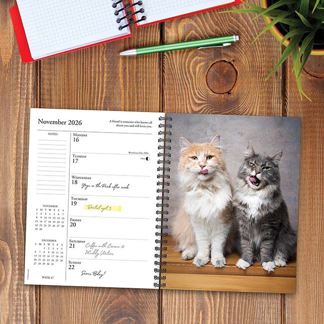 Willow Creek Press 2026 Engagement Calendar - What Cats Teach Us image number null