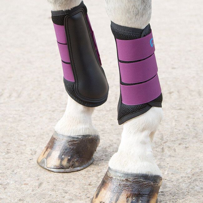 Shires Arma Air Boot Plum image number null