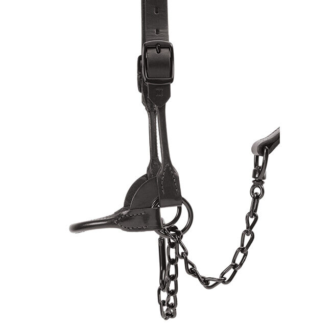 Weaver Livestock Black Magic Show Halter image number null
