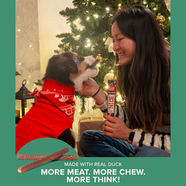 Plato Naughty or Nice Thinkers Dog Treat - Duck Recipe - 0.71 oz image number null