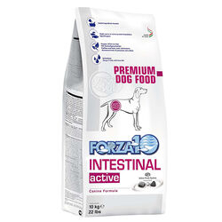 Forza10 Nutraceutic Active Dog Food - Intestinal Support Diet