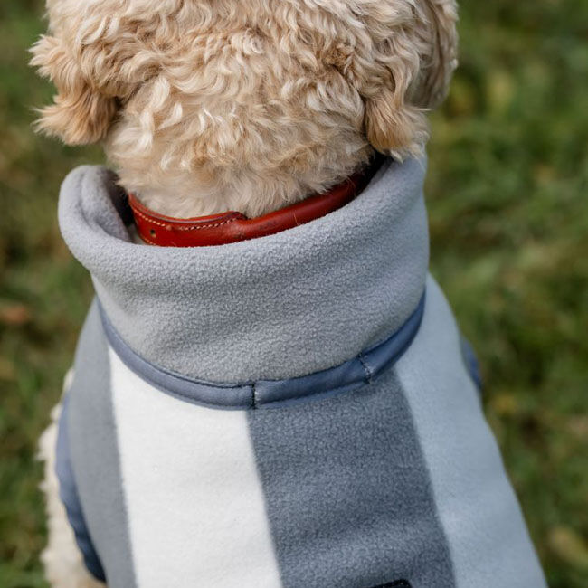 Horseware Newmarket Dog Coat - Witney Charcoal image number null