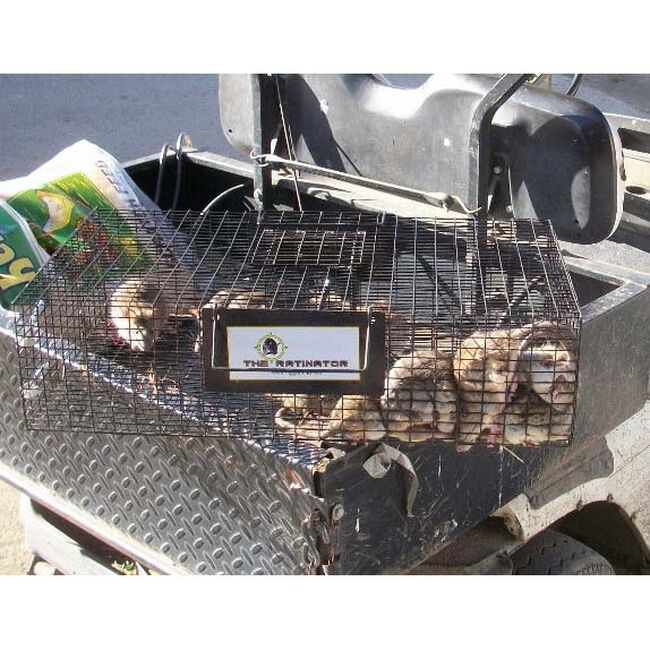 Rugged Ranch CatchMor Ratinator Rat Trap image number null