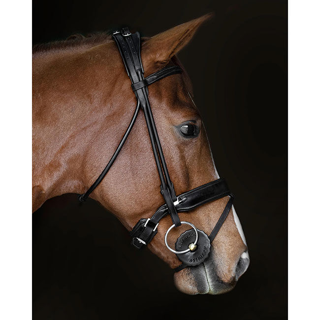 Acavallo Gel Bit Guard image number null