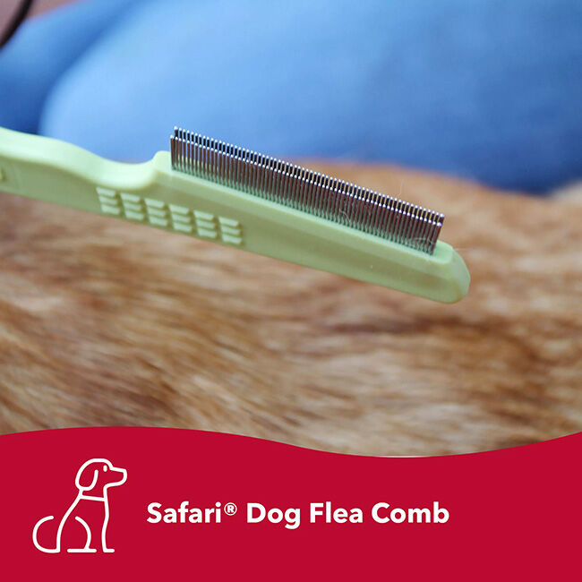 Safari Double-Sided Flea Comb image number null