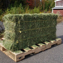 2nd Cut Western Alfalfa - 3-String Bales