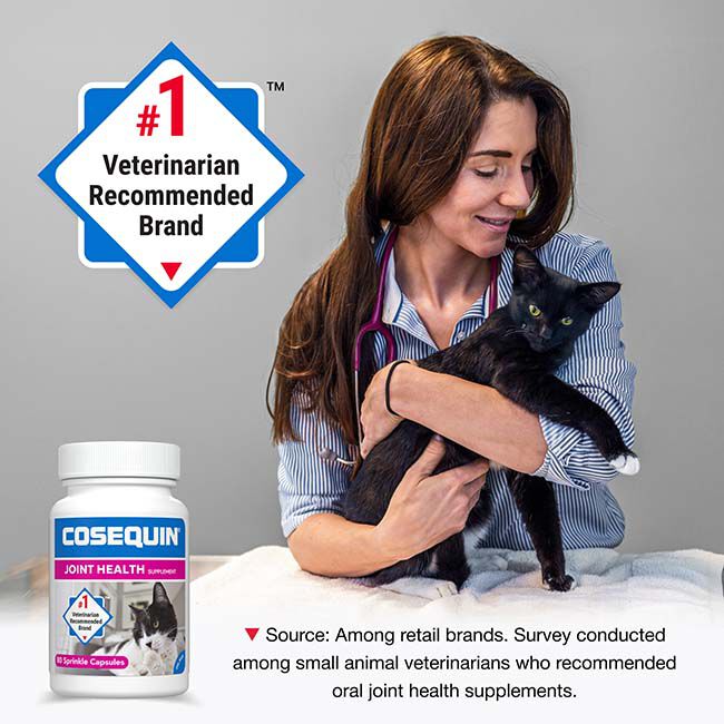 Nutramax Cosequin for Cats Joint Health Supplement, Contains Glucosamine for Cats, Chondroitin, and Omega-3s - Sprinkle Capsules - 80 Capsules image number null