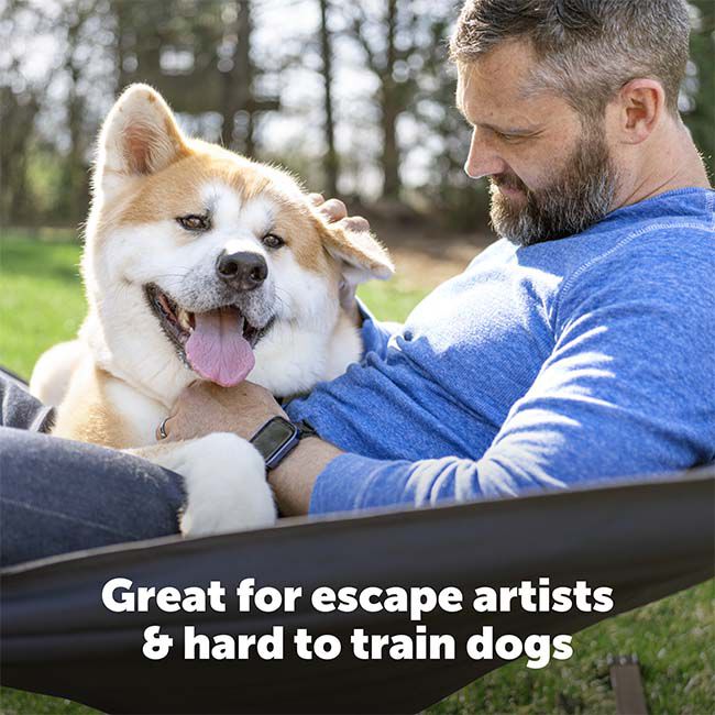 PetSafe Stubborn Dog In-Ground Fence image number null
