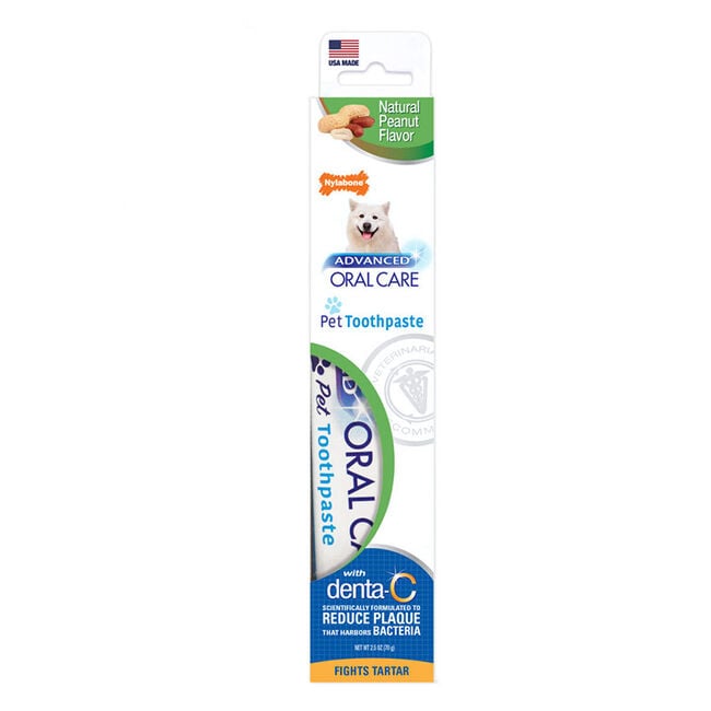 Nylabone Advanced Oral Care Natural Peanut Flavored Dog Toothpaste image number null