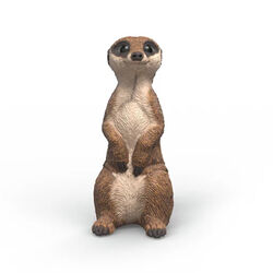 Schleich Meerkat