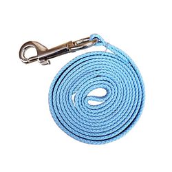 Triple E 4' Small Braided Dog/Cat Leash - Turquoise