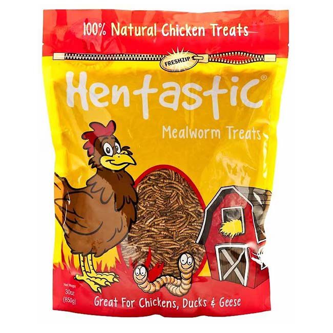 Hentastic Mealworms - 6 oz image number null